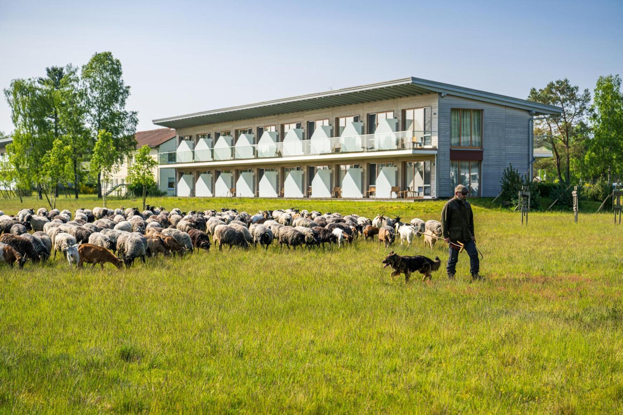 Hotelcamp Reinsehlen Schneverdingen Exterior foto